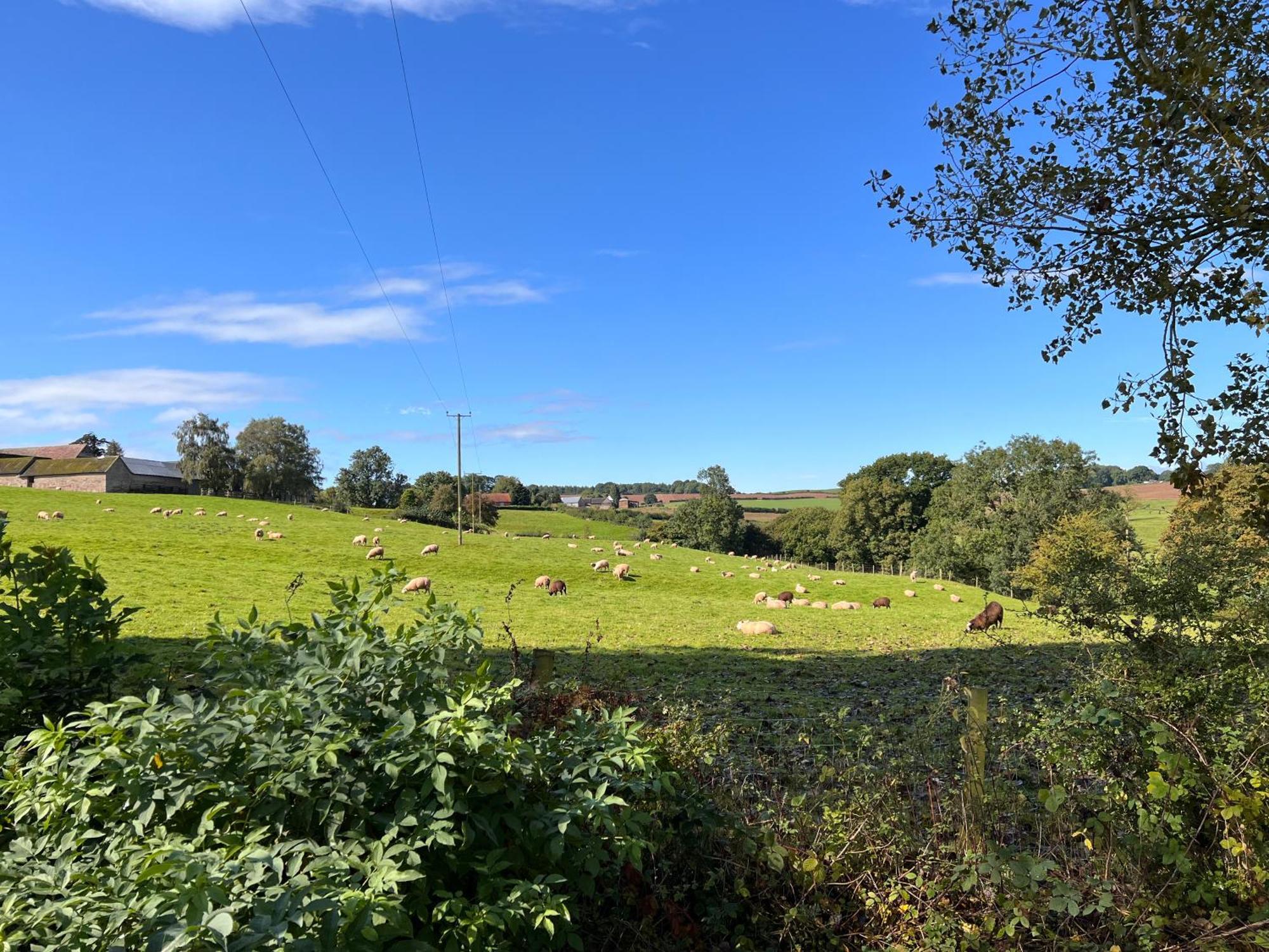 Beautiful Cabins In Herefordshire Countryside Экстерьер фото